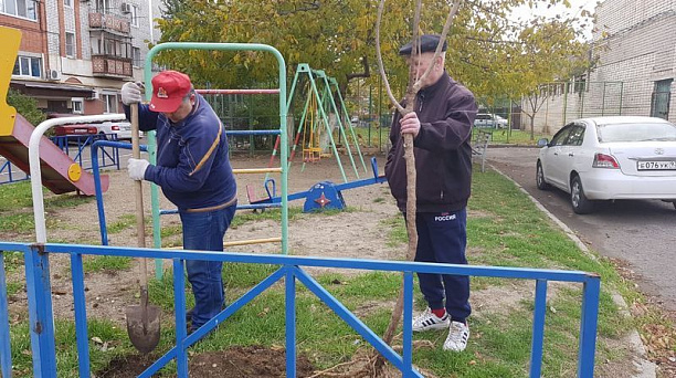 Почти тысяча деревьев и кустарников высажена в Центральном округе