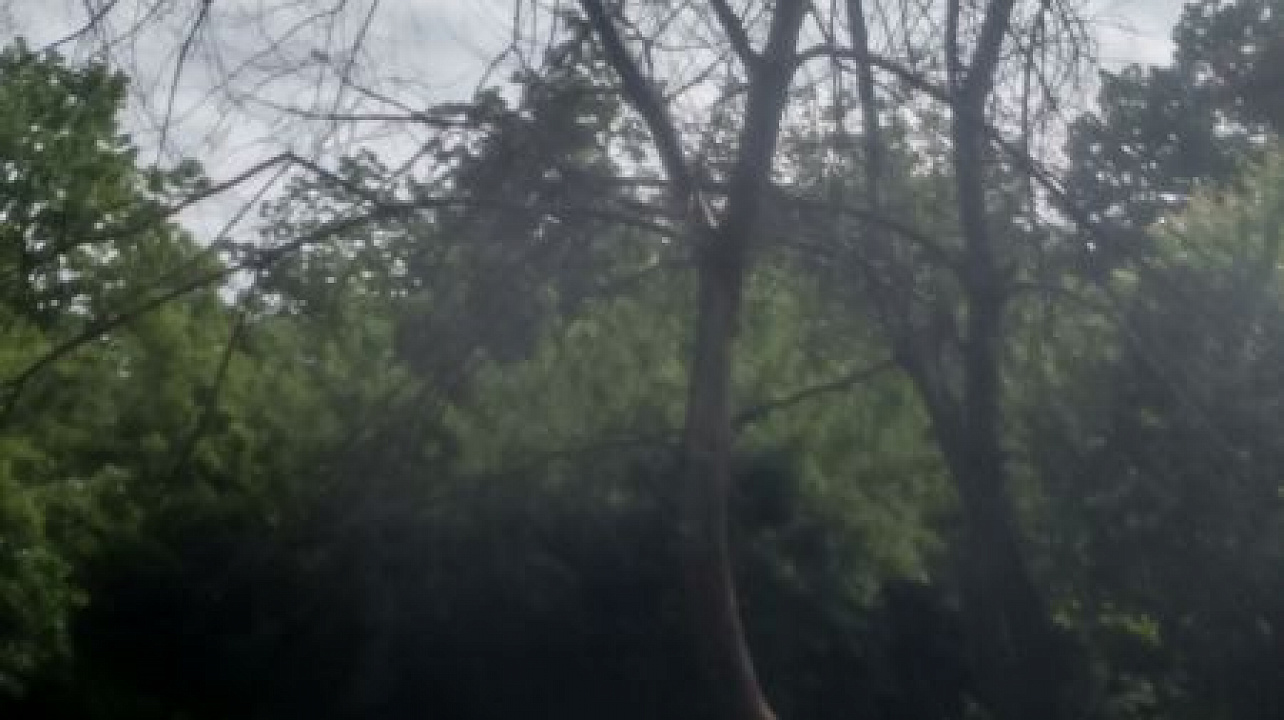 Фото: Пресс-служба администрации Краснодара