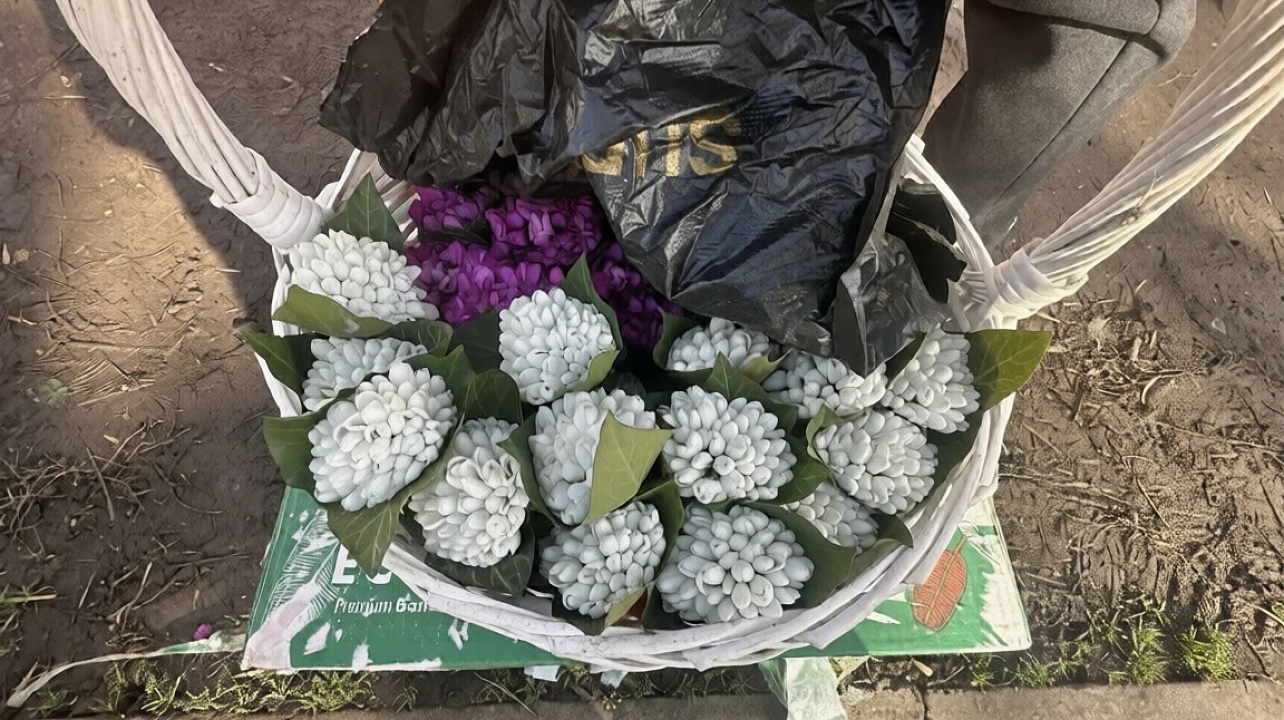 Фото: Пресс-служба администрации Краснодара