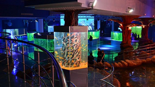 Члены первички ВОИ Центрального округа совершили "экскурсию" в водный мир