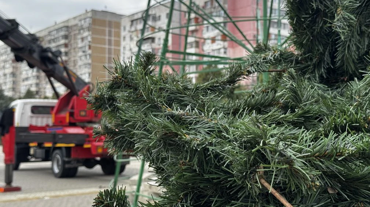 Фото: Пресс-служба администрации Краснодара