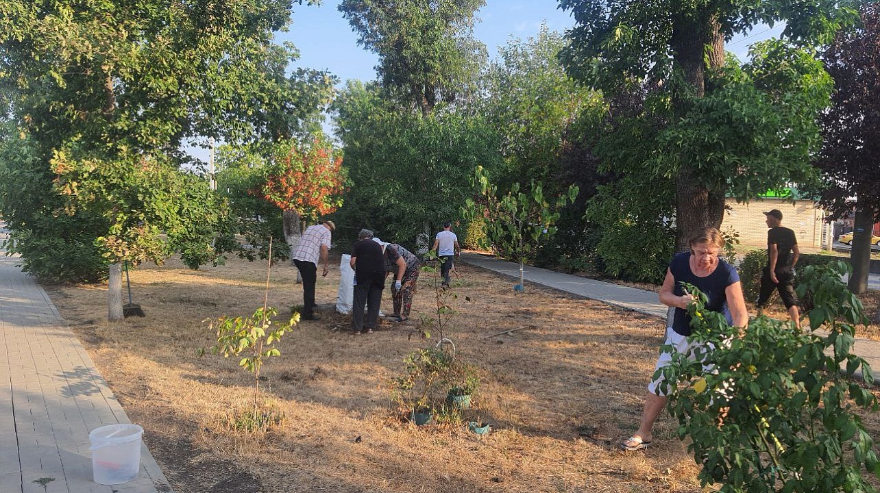 Фото: ТЦ № 35 Центрального округа