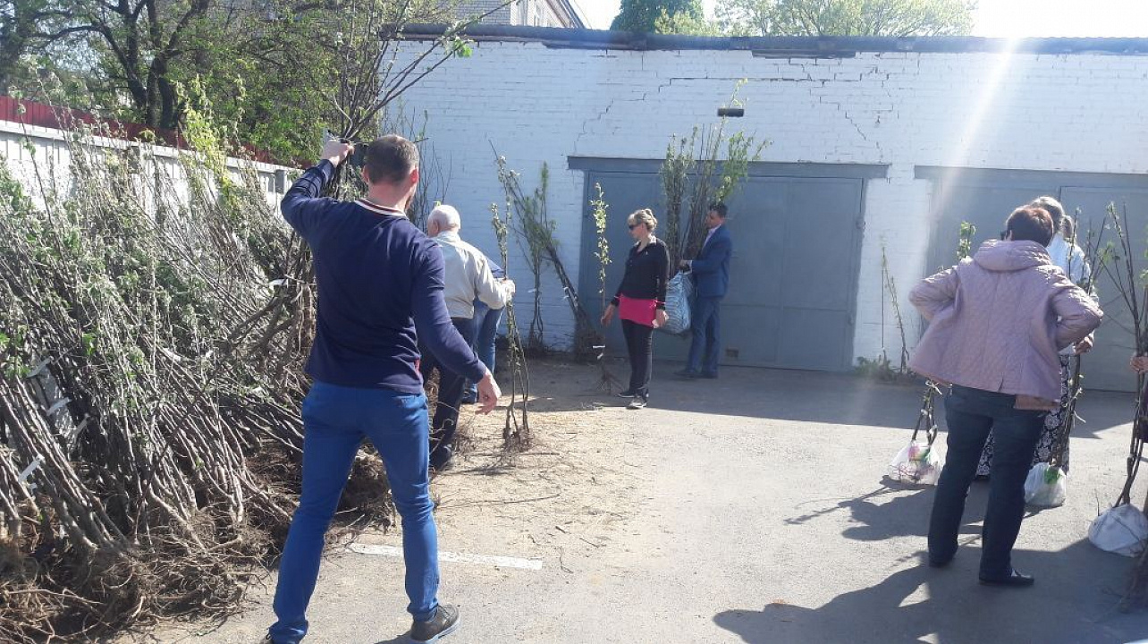 В Западном округе прошла акция «Любишь свой город - посади дерево!»