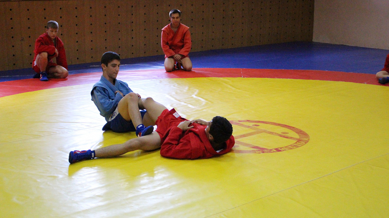 Самбо в ГТО