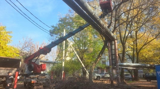 Обновление зеленого каркаса: в Центральном округе проходит финальный этап сезонной заботы о деревьях 