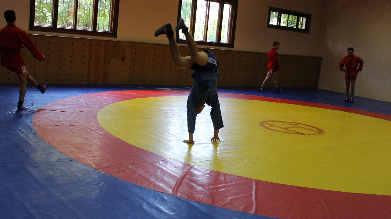 Самбо в ГТО