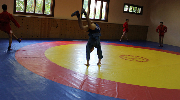 Самбо в ГТО