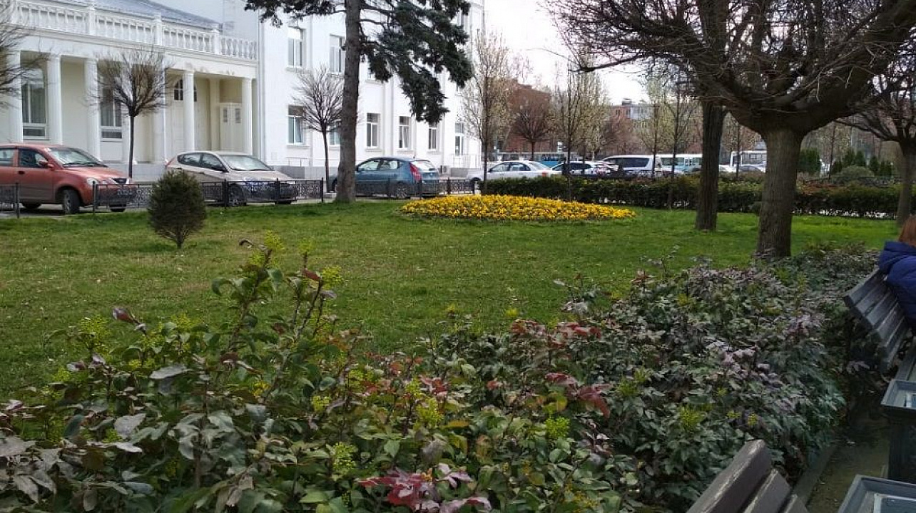 В Краснодаре в 2019 г. высадят более 660 тыс. цветов