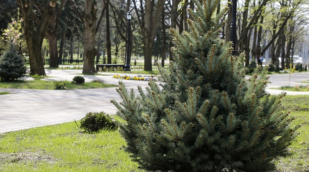 Парк в ст. Старокорсунской наименован в честь митрополита Исидора (Кириченко)