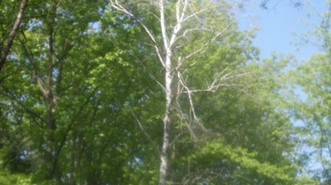 Фото: Пресс-служба администрации Краснодара