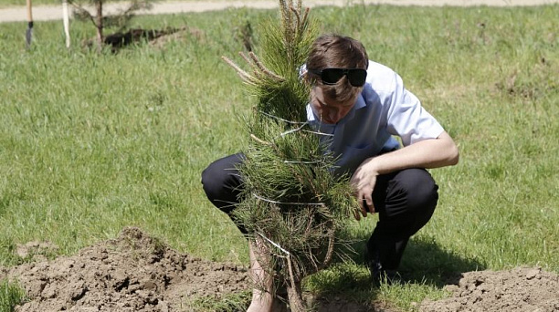 Евгений Первышов принял участие в высадке деревьев в Рождественском парке Краснодара