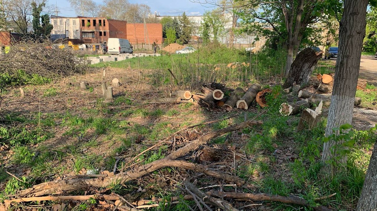 Фото: Пресс-служба администрации Краснодара