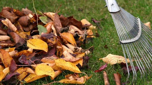 В администрации Краснодара обсудили готовность к субботнику