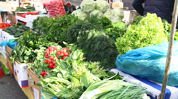 В Краснодаре 14 марта откроются ярмарки выходного дня