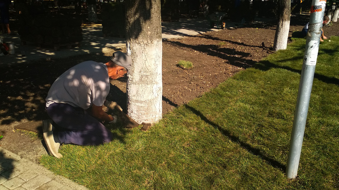 Реконструкция сквера «Фестивального» близится к завершению