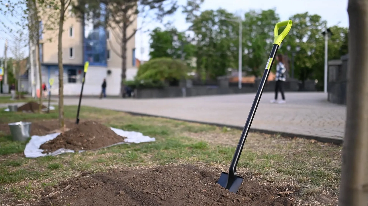 Фото: Пресс-служба администрации Краснодара