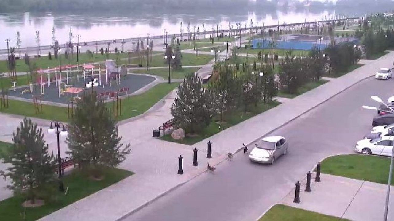 В Краснодаре задержаны 3 человека за вандализм в сквере 80-летия Краснодарского края