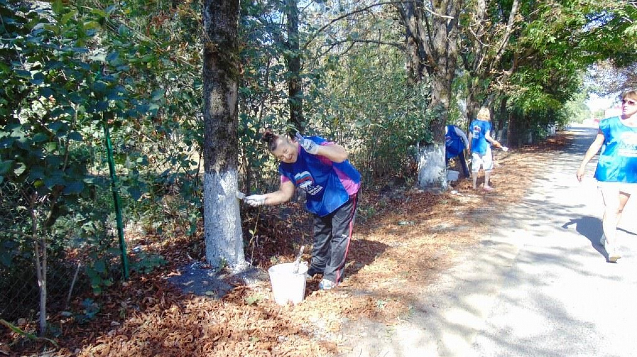 Ветераны на субботнике