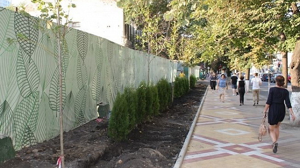 В Краснодаре завершается озеленение участка ул. Красной