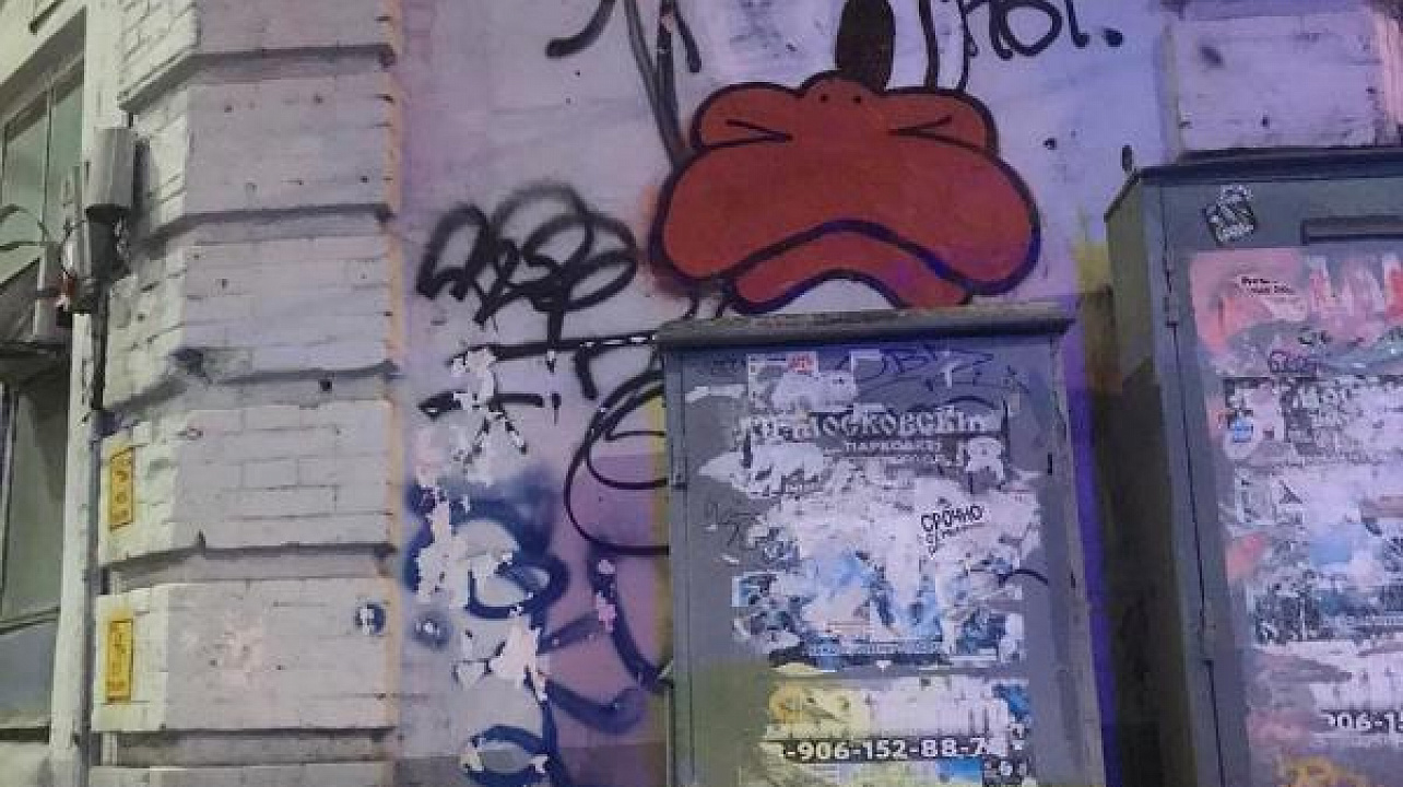 В Западном округе особое внимание уделяют пресечению деятельности  нелегальных «уличных художников» _.jpg