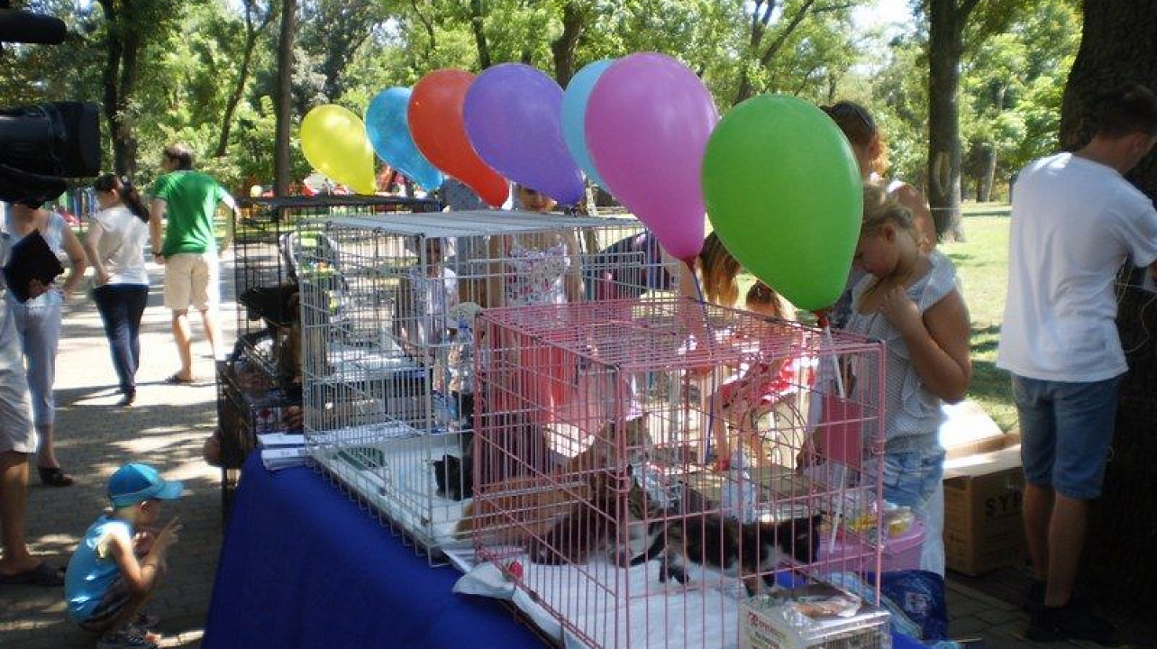 Выходные в Городском саду прошли весело и увлекательно