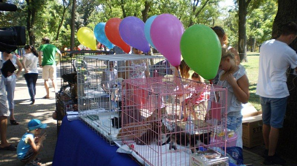 Выходные в Городском саду  прошли весело и увлекательно