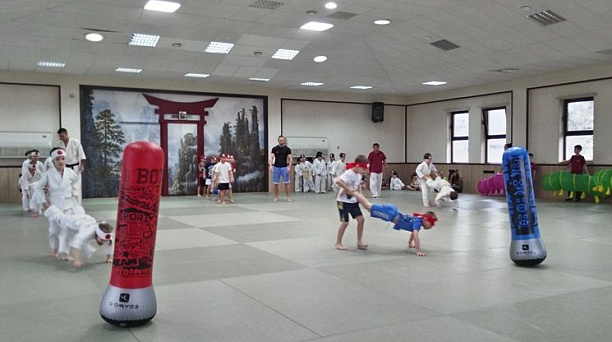 Традиционные ежегодные соревнования прошли в центре боевых искусств "Будокан"