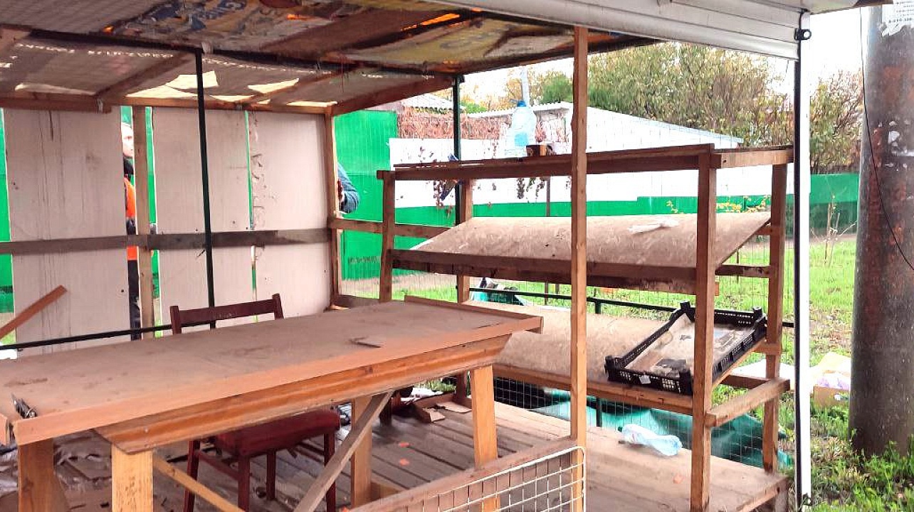 Фото: Телеканал "Краснодар"