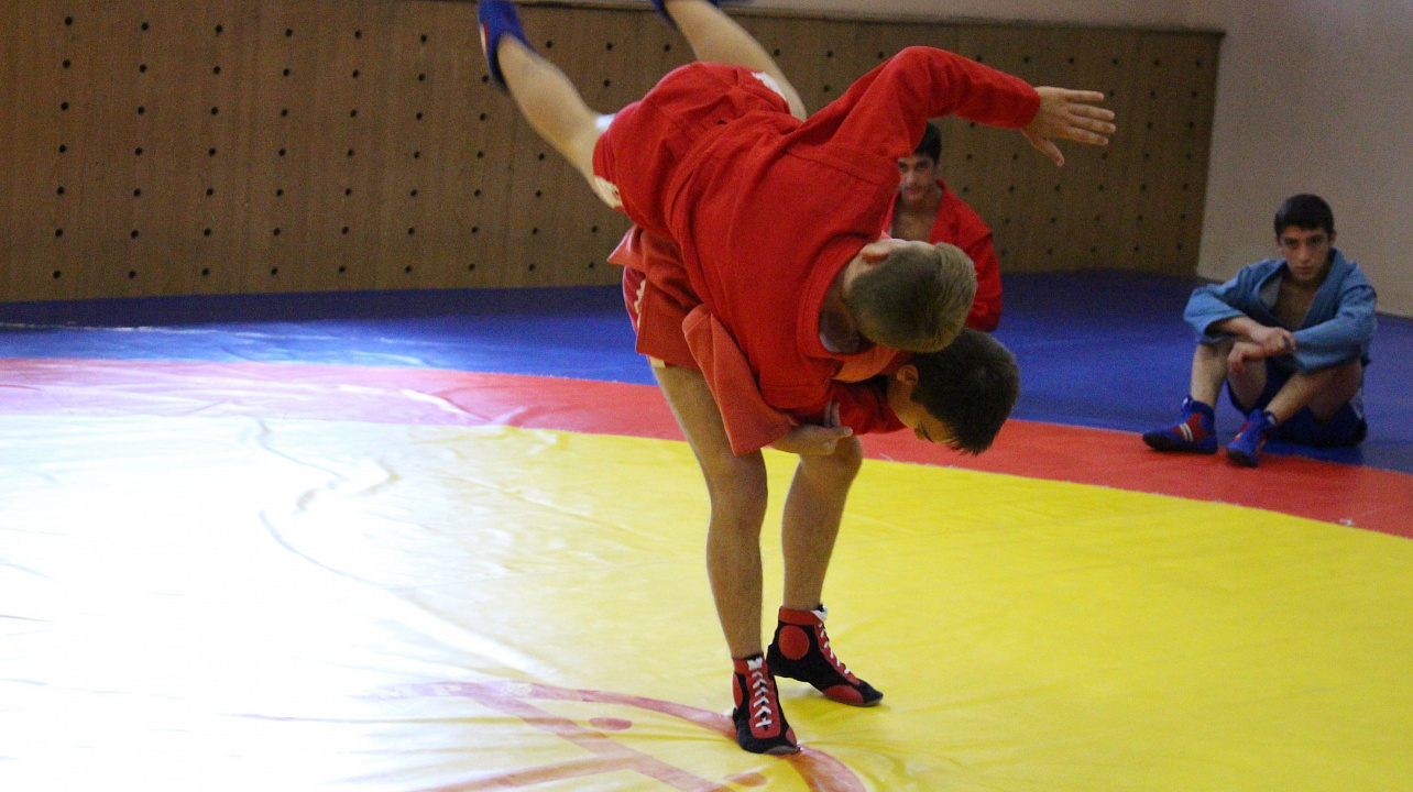 Самбо в ГТО