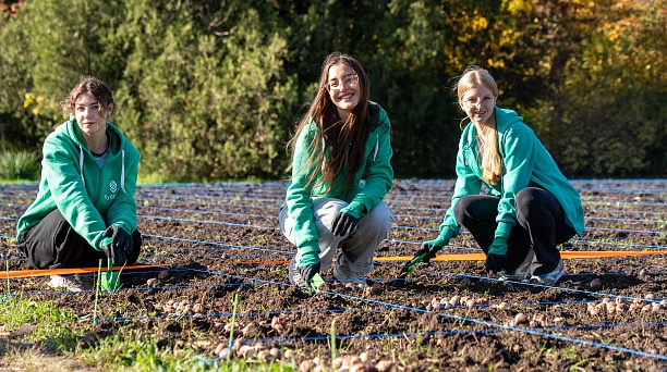 Студенты КубГАУ высадили в краснодарском Ботаническом саду 150 тысяч луковиц тюльпанов