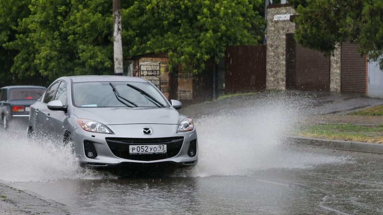 Фото: Ярослав Потапов