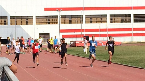 Свои победы краю посвятим