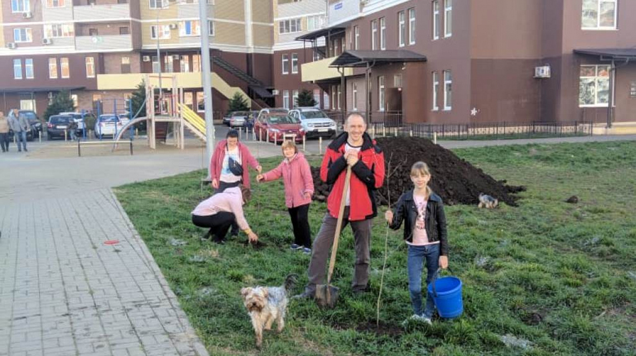 деревья 1.jpg