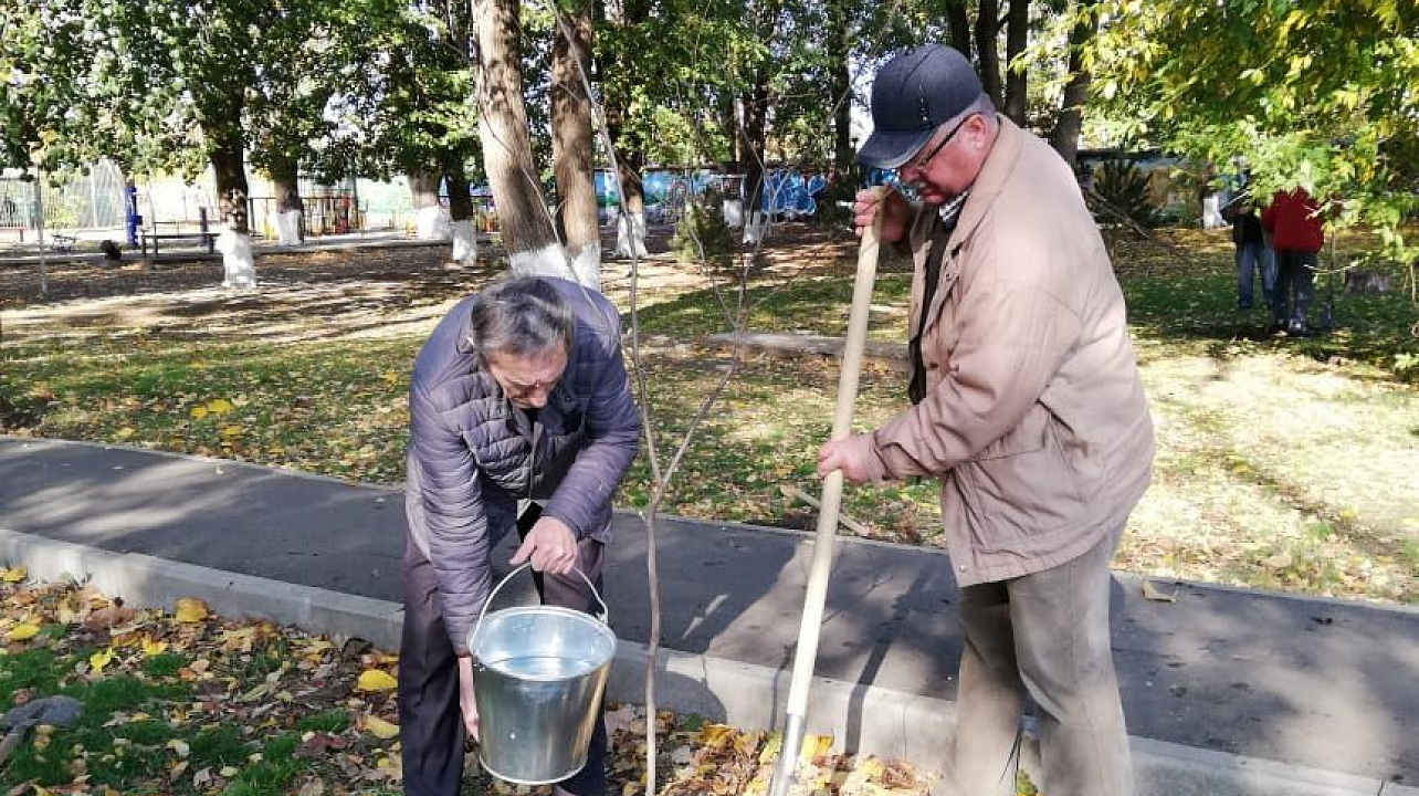 В сквере «Майский» на ул. Совхозной высадили липы