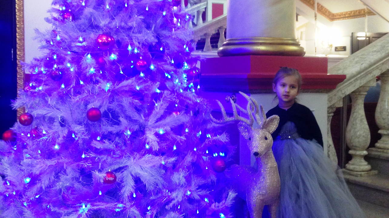 В филармонии им. Г. Ф. Пономаренко состоялось новогоднее представление для детей из малообеспеченных семей