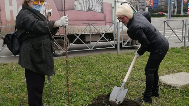 Карасунский округ продолжает эстафету «Краснодар – 10 тысяч деревьев»