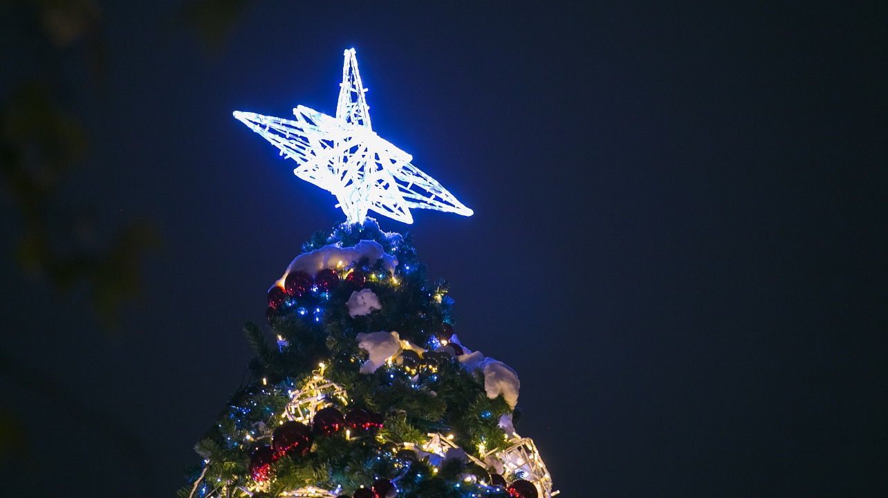 Фото: Карина Сардарян 