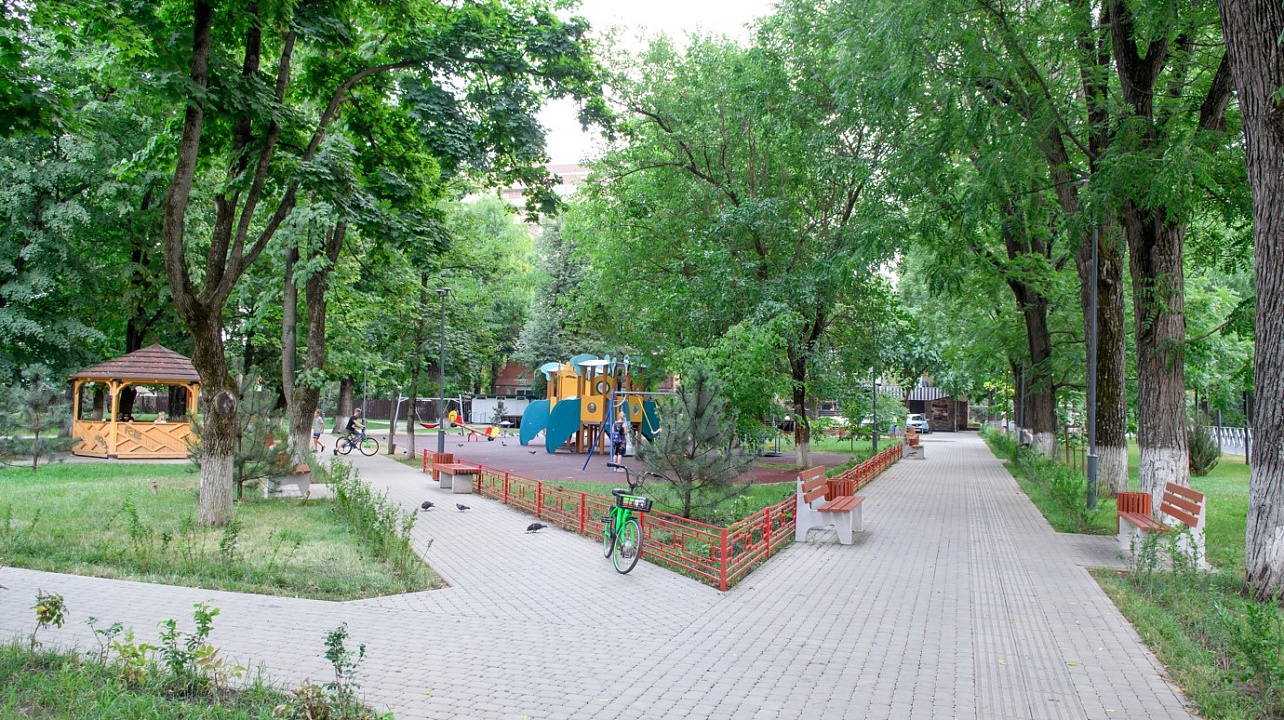 Фото:  Сергей Надеждин / Пресс-служба администрации Краснодара