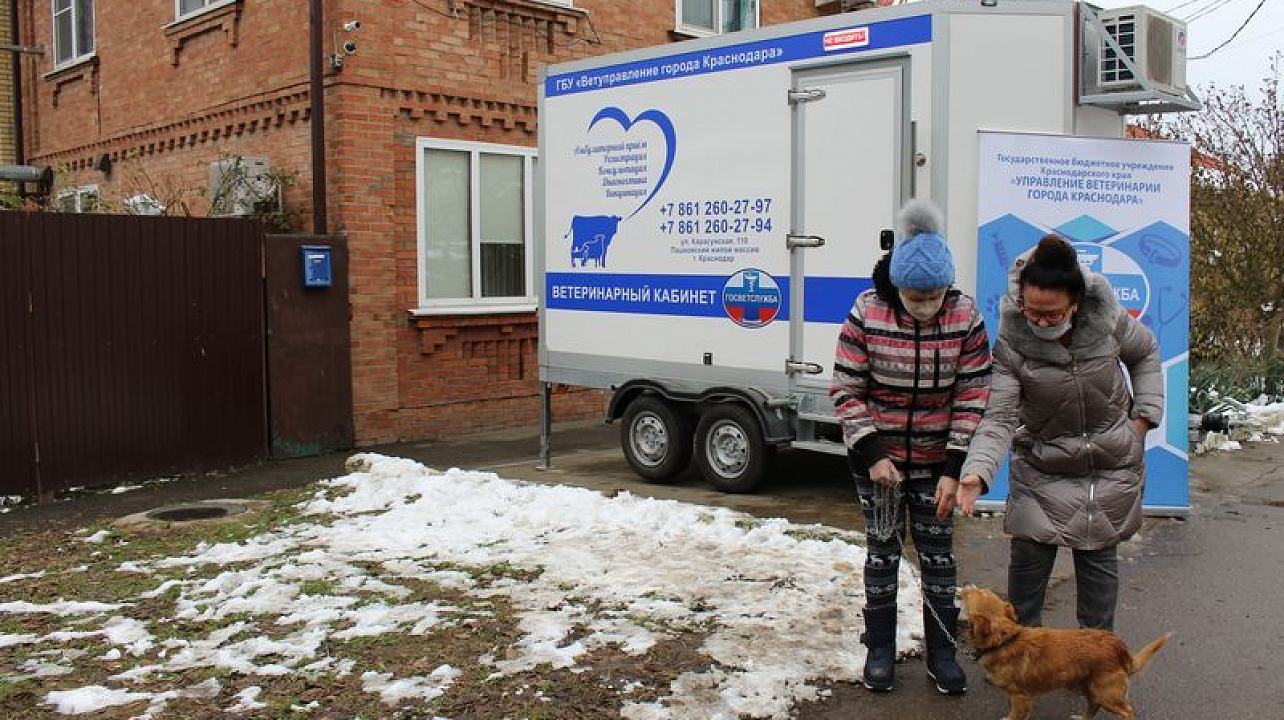 В Центральном округе торжественно открылся передвижной ветеринарный кабинет