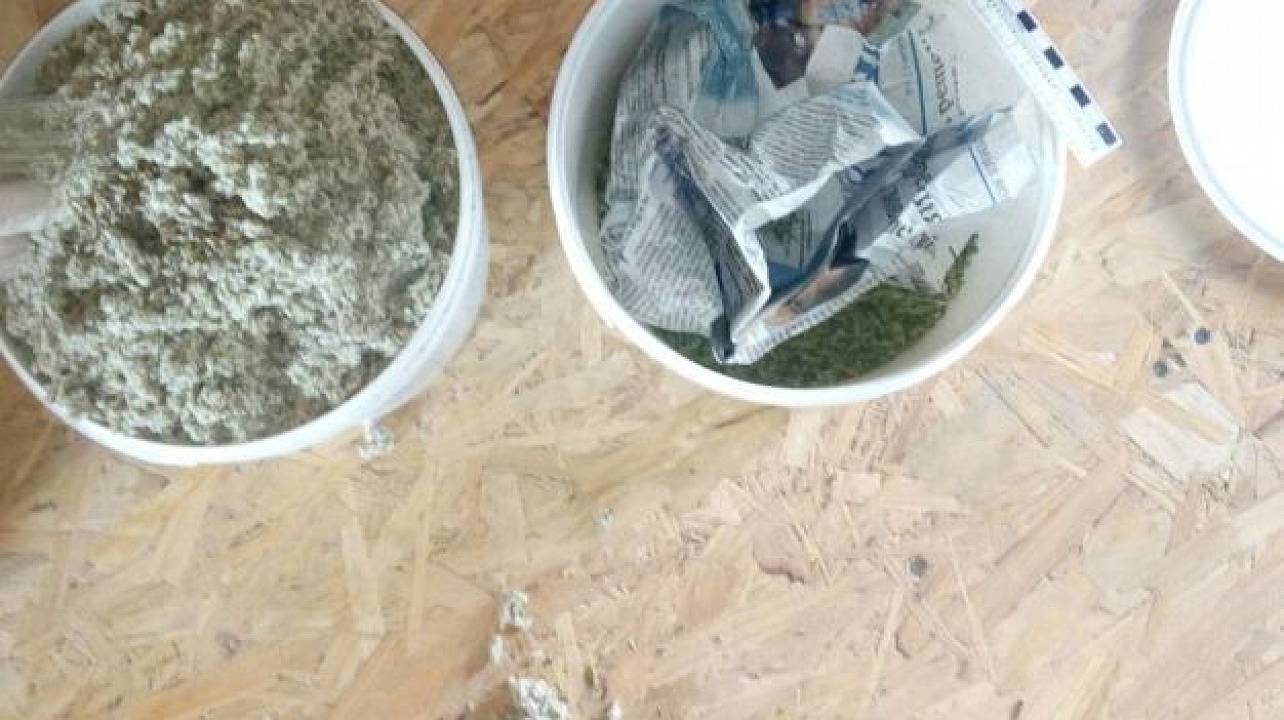 Казаки приняли участие в рейдах