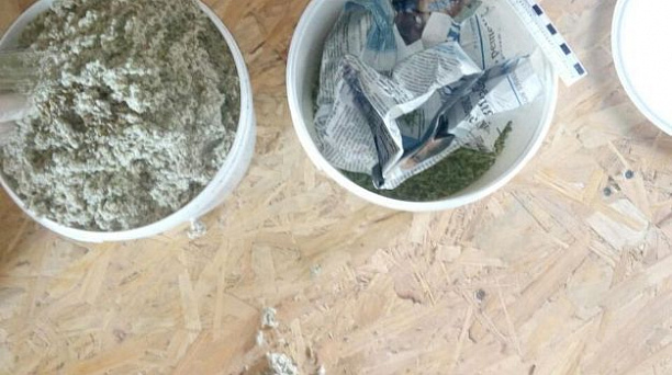 Казаки приняли участие в рейдах