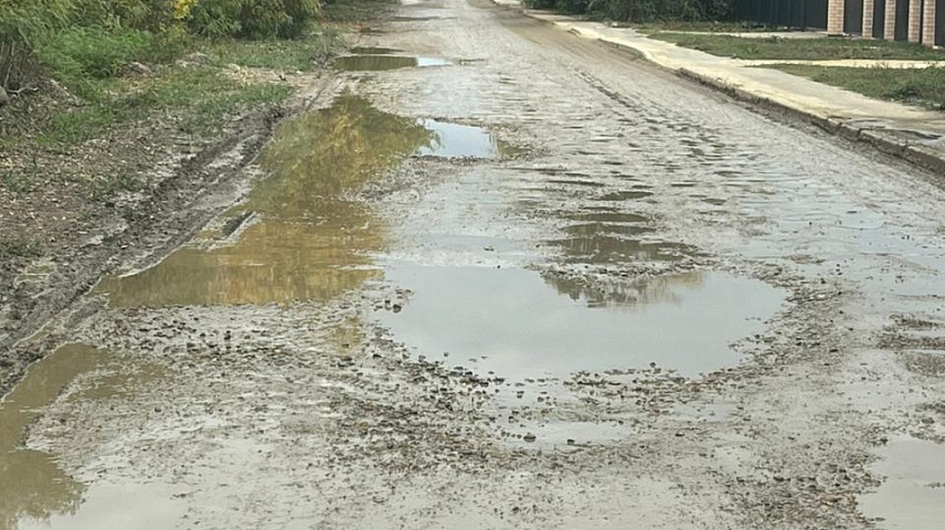 Фото: Иванова Ю.В