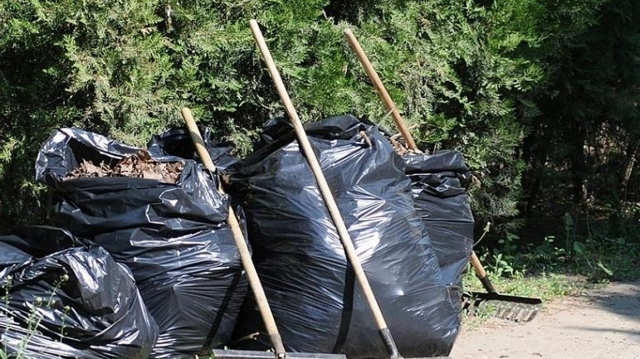 В Краснодаре 15 сентября пройдет общегородской субботник