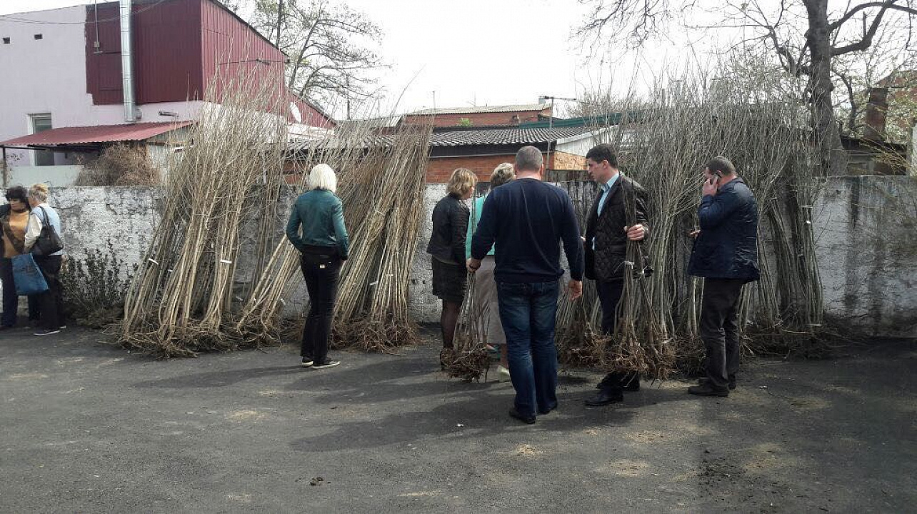 Территория Западного округа пополнилась зелеными насаждениями