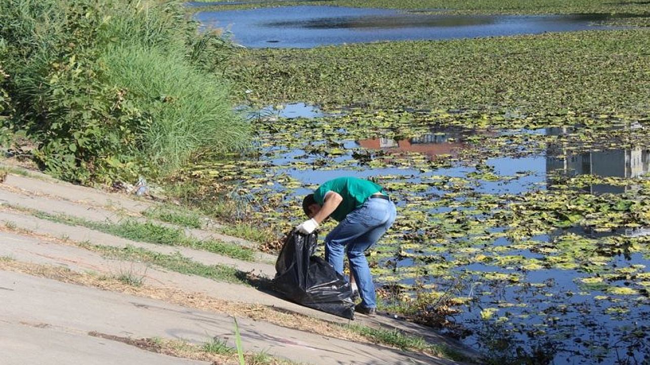 В Карасунском округе организован экологический субботник
