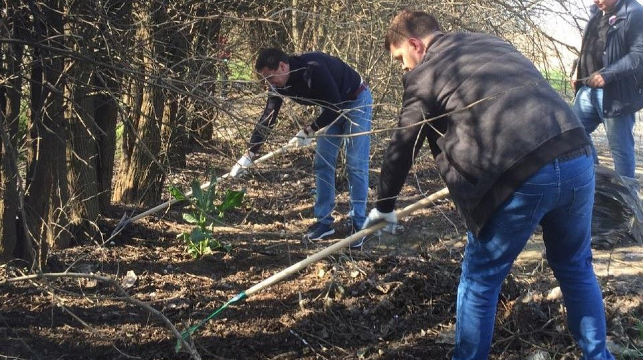 Субботник в лотосах