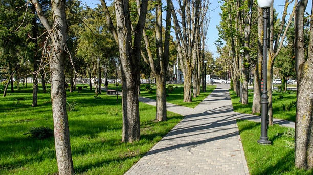 Стартовало рейтинговое онлайн-голосование по благоустройству зелёных зон
