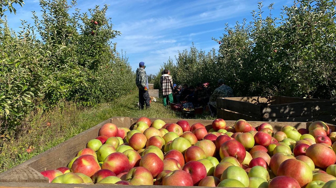 Фото: t.me/emnaumov