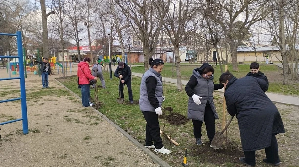 Убирали мусор, красили заборы, сажали цветы и деревья: активные жители Краснодара вышли на субботники
