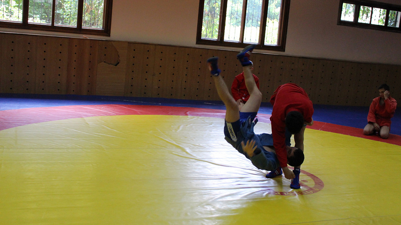 Самбо в ГТО